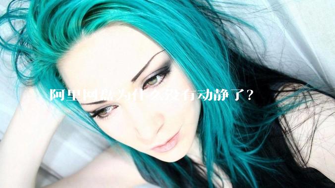 阿里网盘为什么没有动静了？