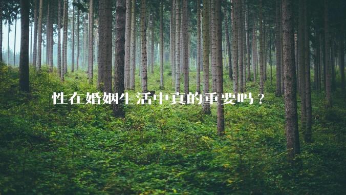 性在婚姻生活中真的重要吗?