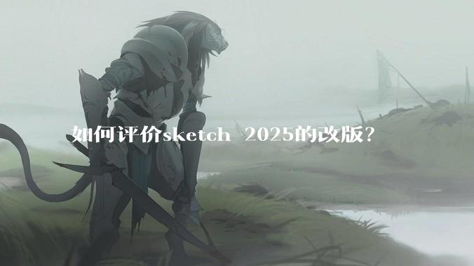 如何评价sketch 2025的改版？