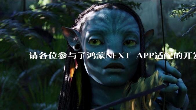 请各位参与了鸿蒙NEXT APP适配的开发者来谈一谈适配过程中的感受？