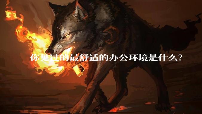 你见过的最舒适的办公环境是什么？