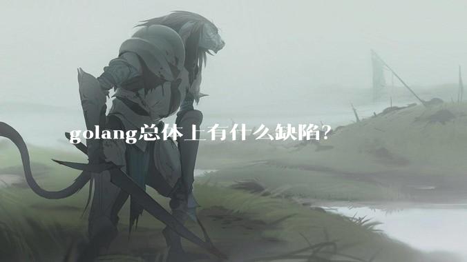 golang总体上有什么缺陷？