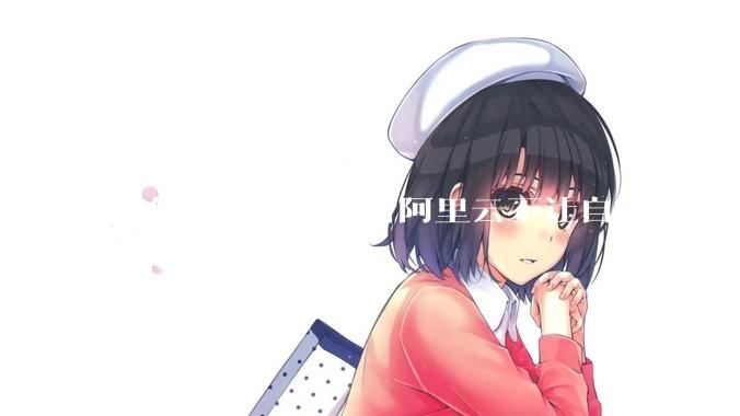 为什么腾讯云或者阿里云不让自建dns服务器?
