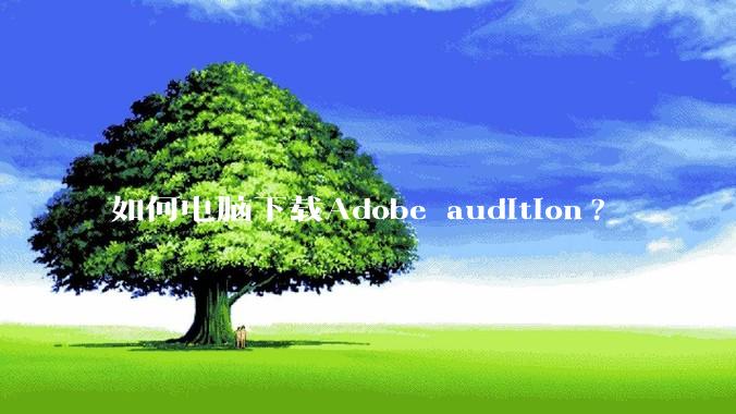 如何电脑下载Adobe audition?