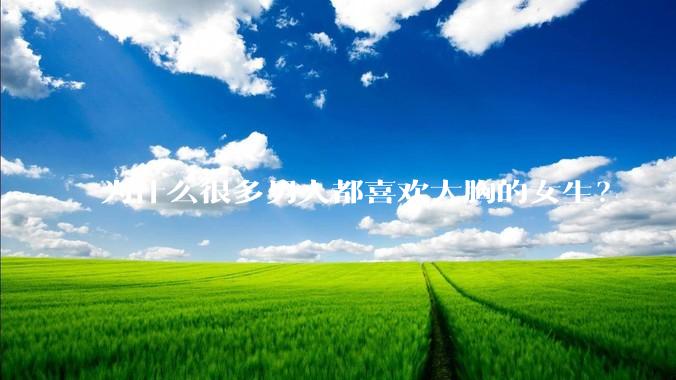 为什么很多男人都喜欢大胸的女生？