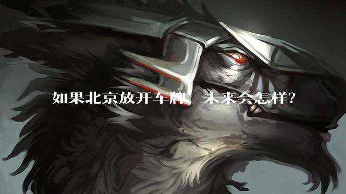 如果北京放开车牌，未来会怎样？