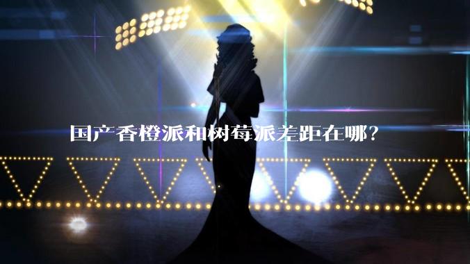 国产香橙派和树莓派差距在哪？