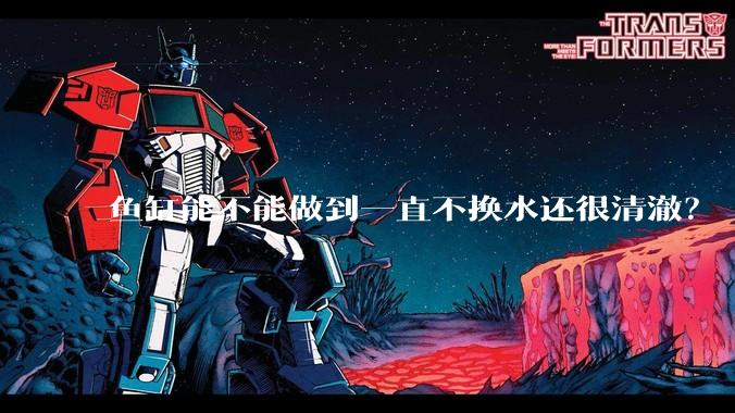 鱼缸能不能做到一直不换水还很清澈？