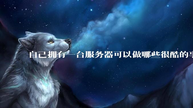 自己拥有一台服务器可以做哪些很酷的事情？