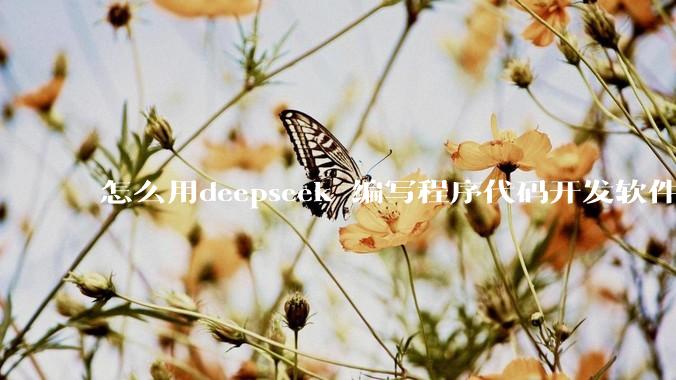 怎么用deepseek 编写程序代码开发软件？