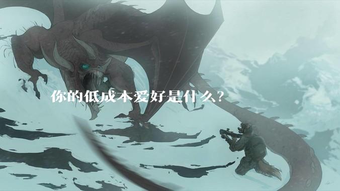 你的低成本爱好是什么？