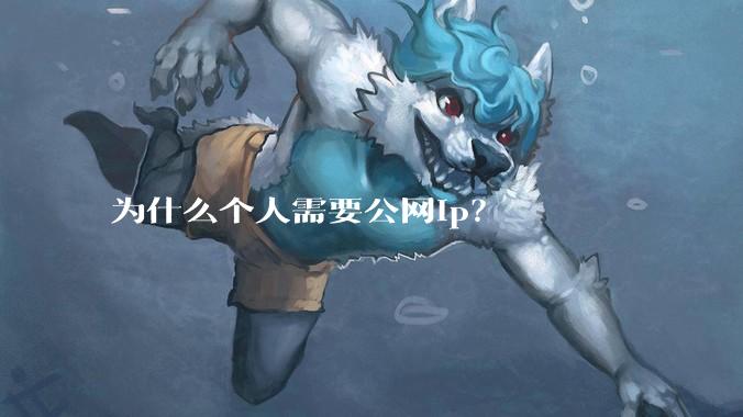 为什么个人需要公网ip？
