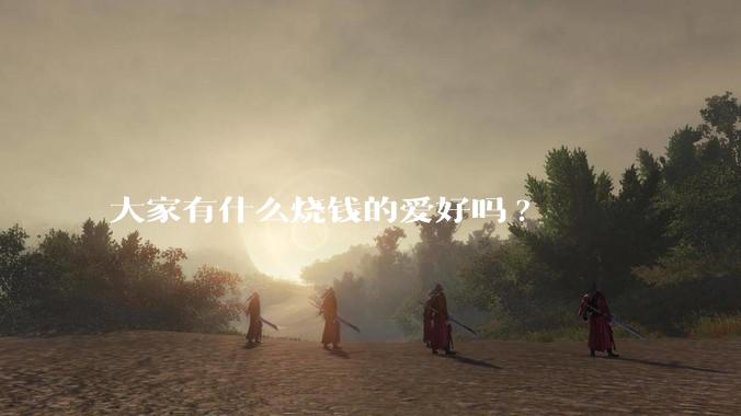 大家有什么烧钱的爱好吗?