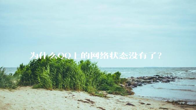为什么QQ上的网络状态没有了？