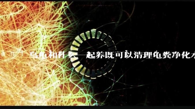 乌龟和什么一起养既可以清理龟粪净化水质又可以当龟食物？