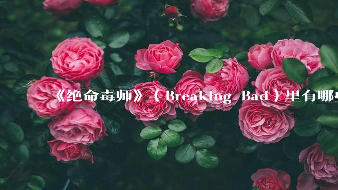 《绝命毒师》（Breaking Bad）里有哪些硬伤？