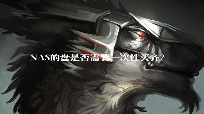 NAS的盘是否需要一次性买齐？