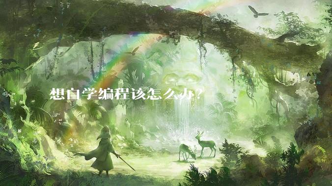 想自学编程该怎么办？