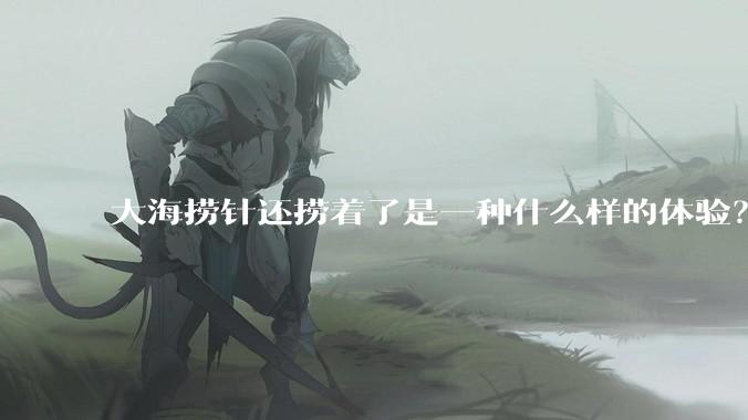 大海捞针还捞着了是一种什么样的体验？