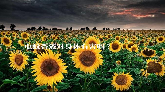电蚊香液对身体有害吗?