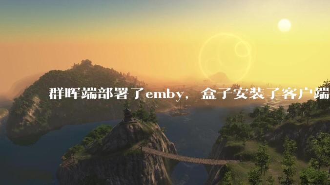 群晖端部署了emby，盒子安装了客户端播放蓝光电影为什么不能显示影片自带字幕？