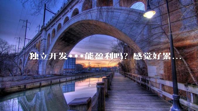 独立开发***能盈利吗？感觉好累...